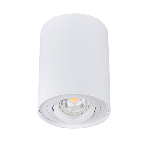 Obrázok pre Kanlux Stropné bodové prisadené svietidlo BORD DLP-50-W valcové (biela)