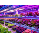 Obrázok pre PLANTY LED lampa pre rastliny VITARO 10W ST MINI