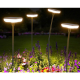 Obrázok pre Solárna LED lampa MUSHI SQUARE